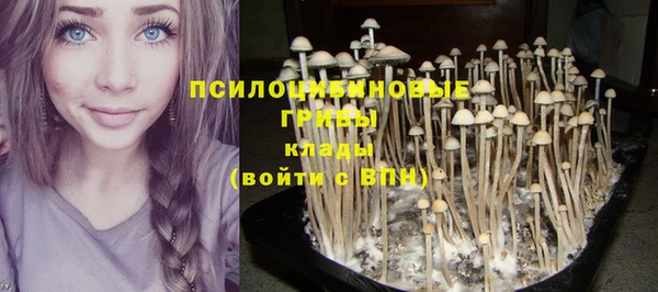 стафф Армянск