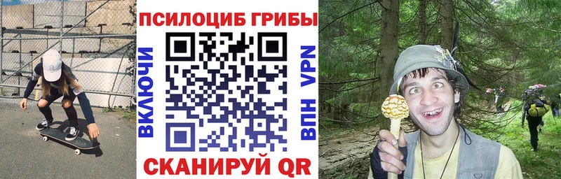 Галлюциногенные грибы MAGIC MUSHROOMS  как найти закладки  Ростов 